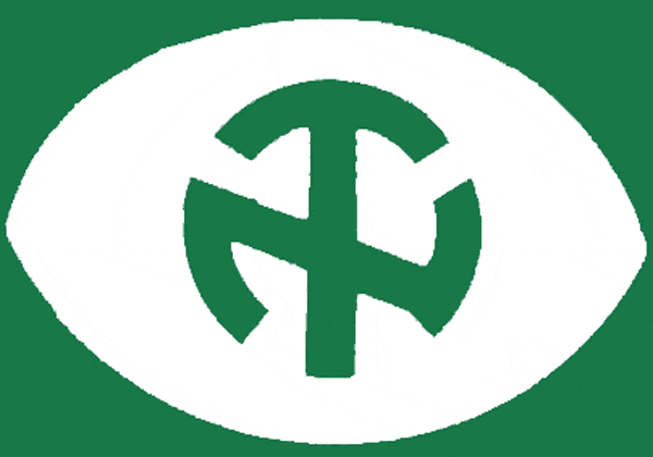 North Texas Mean Green 1968-1971 Primary Logo diy DTF decal sticker